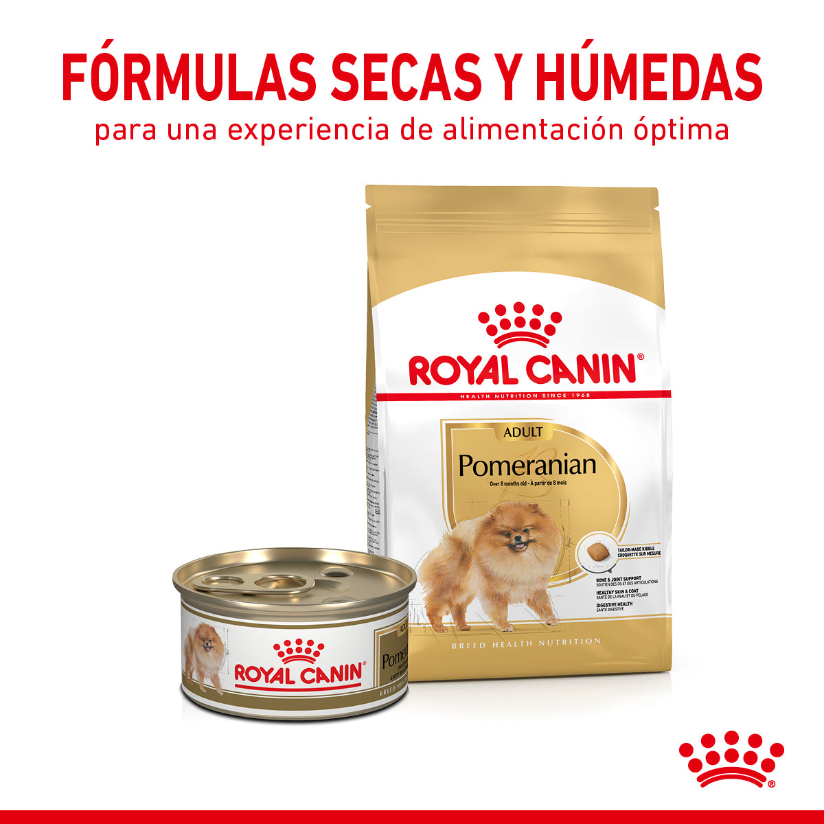 Royal Canin Pomerian Adult 1.1 Kg - Alimento Para Perro Pomeriano Royal Canin Pomerian Adult 1.1 Kg - Alimento Para Perro Pomeriano